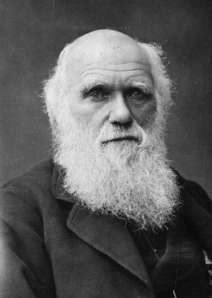 Darwin: een change manager?