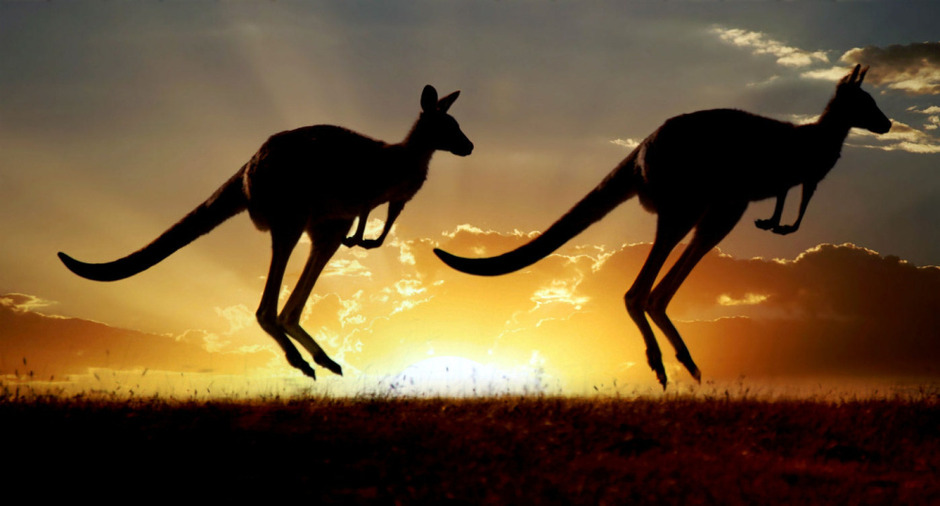 Australische regering moedigt drukken van zonnepanelen aan