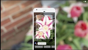 Google Lens verandert je camera in een zoekmachine